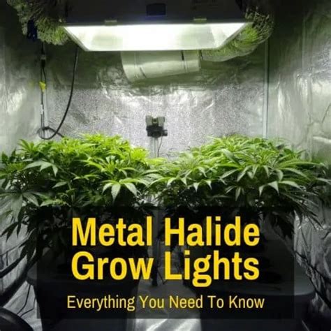 use metal halide in house|metal halide lights meaning.